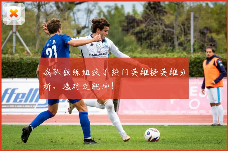战队教练组疯了热门英雄榜英雄分析，选对定乾坤！